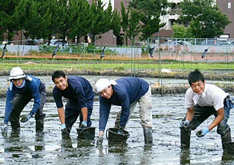 現代農業の問題点