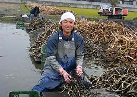 現代農業の問題点